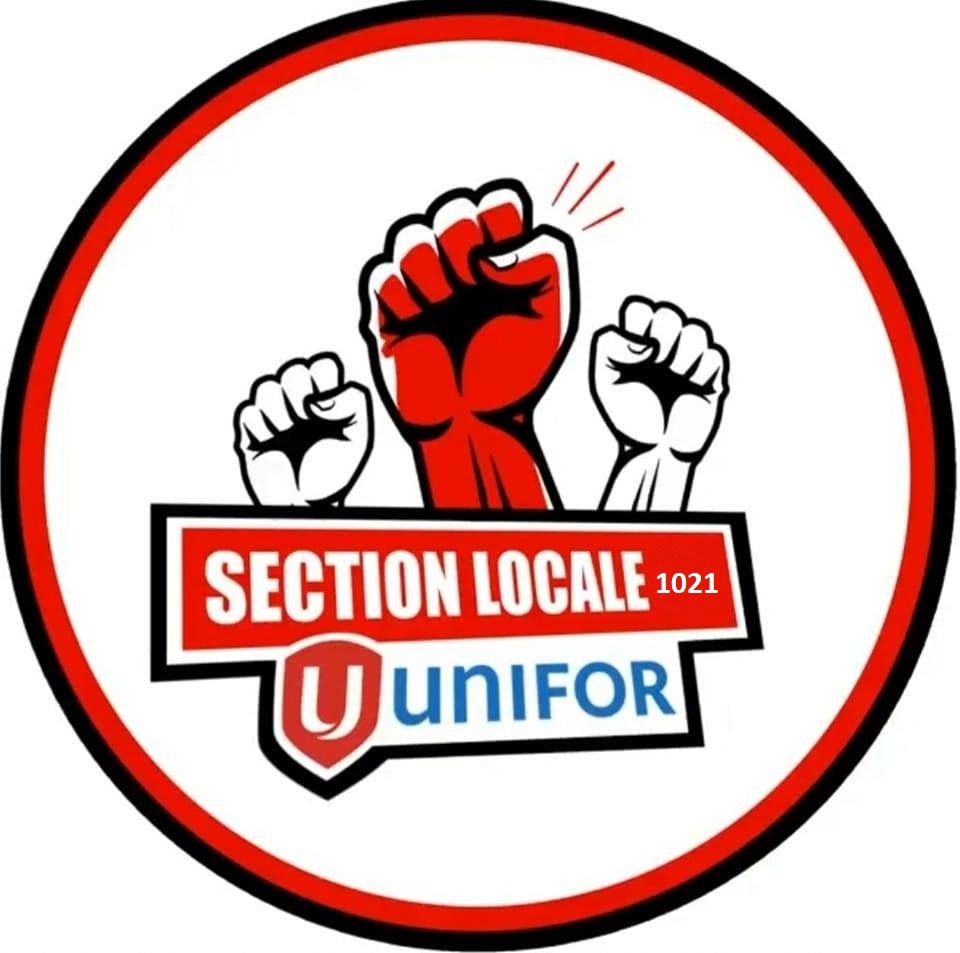 Élections dans les quatre nouvelles sections locales